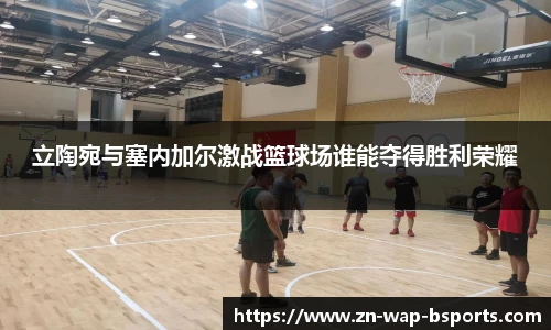 立陶宛与塞内加尔激战篮球场谁能夺得胜利荣耀