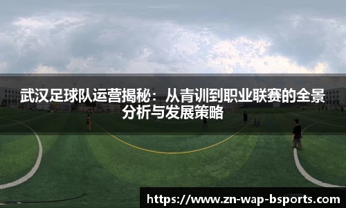 武汉足球队运营揭秘：从青训到职业联赛的全景分析与发展策略